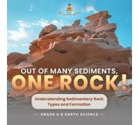 Out of Many Sediments, One Rock Understanding Sedimentary Rock Type (Tascabile)