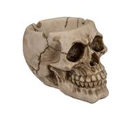 Out of the blue Posacenere in poliresina, Teschio, Multicolore, ca. 12 cm