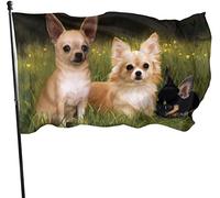 Outdoor Cute Chihuahua on The Grass Garden Flag, Game Flag 3 X 5 ft Decorazioni per la casa all'aperto