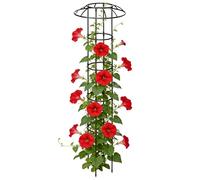 Outdoor Flower Tower Frame - 63 Inch Garden Plant Trellis | Iron Vine Support - Rustproof climbing trellis for clematis jasmine cucumber dragon fruit pots creating vertical support in outdoor gardens