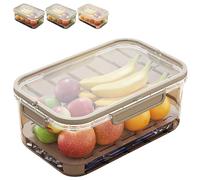Outdoor Ice Preservation Box, Kitchen Refrigerator Storage Box, contenitore per snack con Ice Pack, Clear Ice Preservation Holder with Drain Divider for Camping Picnic (Coffee, 1pc)