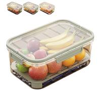 Outdoor Ice Preservation Box, Kitchen Refrigerator Storage Box, contenitore per snack con Ice Pack, Clear Ice Preservation Holder with Drain Divider for Camping Picnic (Green, 1pc)