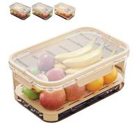 Outdoor Ice Preservation Box, Kitchen Refrigerator Storage Box, contenitore per snack con Ice Pack, Clear Ice Preservation Holder with Drain Divider for Camping Picnic (Beige, 1pc)