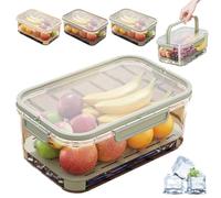 Outdoor Ice Preservation Box, Picnic Snackle Box Container with Ice Pack and Lid, Portable Platter Box for Meat, Veggies, Fruit (Green*2)