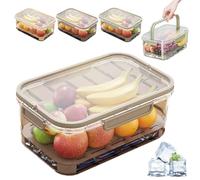 Outdoor Ice Preservation Box, Picnic Snackle Box Container with Ice Pack and Lid, Portable Platter Box for Meat, Veggies, Fruit (Brown*3)