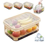 Outdoor Ice Preservation Box, Picnic Snackle Box Container with Ice Pack and Lid, Portable Platter Box for Meat, Veggies, Fruit (Beige*3)