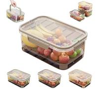 Outdoor Ice Preservation Box, Portable Fresh Saver Cooler, Snackle Box with Ice Pack & Handle, Double Layer Portable Kitchen Refrigerator Storage for Camping Picnic (Brown)