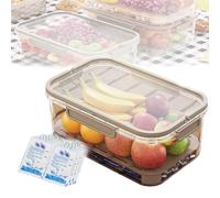 Outdoor Ice Preservation Box, Portable Snackle Box Container with Ice Pack, Snackle Box with Ice Pack & Handle,Double Layer Portable Kitchen Refrigerator Storage Box, for Camping Picnic (Brown)