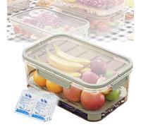 Outdoor Ice Preservation Box, Portable Snackle Box Container with Ice Pack, Snackle Box with Ice Pack & Handle,Double Layer Portable Kitchen Refrigerator Storage Box, for Camping Picnic (Green)