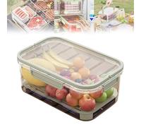 Outdoor Ice Preservation Box, Snackle Box Container with Ice Pack, Portable Insulated Food Saver for Camping, Picnic, Beach with Clear Lid, Chilled Serving Tray & Ergonomic Handle (Green)