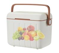 Outdoor Insulated Cooler - 6L Mini Beverage Ice Chest, Lightweight Camping Freezer Box, High Efficiency Thermal Storage Container, Portable Cooling Solution | Fishermen Concert Festival Travel Picnic