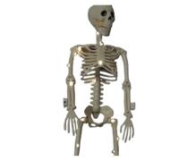 OUTIFUOTPP Scheletro Umano di Halloween da 40 cm, Scheletro snodabile, Ossa Forma Umana, Decorazioni, Oggetti Scena Horror for Case infestate(Chocolate)