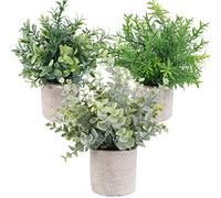 OUTLEE Confezione da 3 mini piante artificiali in vaso di eucalipto in finto bosso rosmarino verde in vasi piccole piante da appartamento per la decorazione della casa, ufficio, scrivania, doccia e