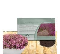 Outsidepride Magic Carpet - Semi di timo striscianti, 1000 pezzi, semi perenni, profumati e resistenti alla siccità, per piantare fiori rosa in sentieri, pendii e paesaggistica adatta agli