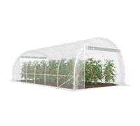 Outsunny Serra a Tunnel 2x3x2 m Porte Avvolgibili in Acciaio e PE Trasparente