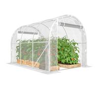 Outsunny Serra a Tunnel 2x3x2 m Porte Avvolgibili in Acciaio e PE Trasparente