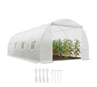 Outsunny Serra da Giardino a Tunnel Per Piante in PE 6x3x2m Bianco