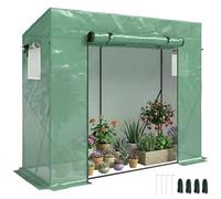 Outsunny Serra da Giardino in PE e Acciaio, 200x77x169cm, Verde