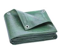 Outsunny Telo Impermeabile Esterno 6x8 m con Occhielli Rinforzati Verde