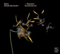 Ouvertures ?? 8 for 3 oboes, bassoon, strings and continuo by Zefiro Baroque Orchestra (2013-11-10)