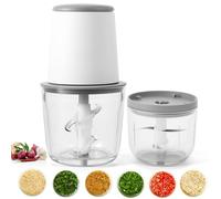 OUZHOU Mini tritatutto con 2 ciotole, 2 set di lame, robot da cucina elettrico, tritacarne con contenitore in vetro, ricaricabile tramite USB, mini frullatore per carne, frullati, cipolle, frutta