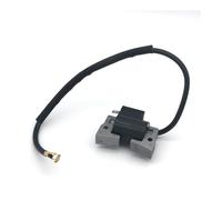 OUZHOULGPS Modulo Bobina di accensione Adatto for EPIGC100 M1019092-01 (1997-UP) 1997-5133 Parte