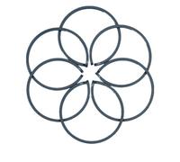 OUZRYWSDP 6 Pezzi di Anelli pistone Adatti for Motosega a 2 Tempi 017 MS 170 MS170 MS192 C 192 T TC, sostituiscono l'OEM 1130 034 3003