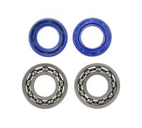 OUZRYWSDP Giardino Kit guarnizioni e Cuscinetti dell'albero Motore da 4 Pezzi, Kit paraolio for Motosega Adatto for MS180 MS170 170 180(4pcs Blue)