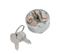 OUZRYWSDP Sostituire Interruttore di accensione e avviamento con 2 Chiavi Adatto for 92377 91846 40507X8A 425001X8A 33-392 430-161 5411 5411H 5412K 9331 trattorino Tosaerba