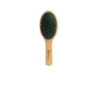 Oval Brush Double Bristle Brush 1 Unit