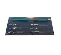 OVAQUIXI Dip Pen, Penna per Calligrafia retrò Leggera con 6 Pennini per Disegno e Word Art Adatta per la Pratica della Calligrafia