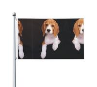 Ovely - Bandiere decorative su entrambi i lati con motivo cane beagle, adatte per prati, balconi, verande, ecc.