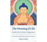 Over The Meaning of Life (Tascabile)
