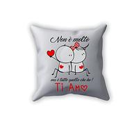 Overthetee Cuscino di San Valentino, Non è Molto ma è Tutto quello che Ho, Ragazzo, Regalo Romantico, Amore, Anniversario, Idea Regalo Partner