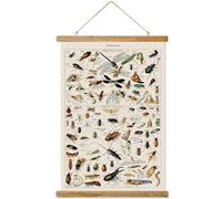 Ovfovy Poster vintage con insetti, estetica rustica, stampe artistiche da parete retrò senza sbiadire, stampato su lino con cornici in legno, pronto da appendere