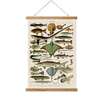 Ovfovy Poster vintage con pesci, estetica rustica, stampe artistiche da parete retrò senza sbiadire, stampato su lino con cornici in legno, pronto da appendere