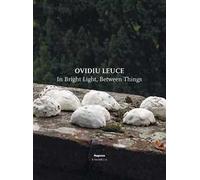 Ovidiu Leuce. In bright light, between things. Ediz. italiana e inglese