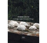 Ovidiu Leuce. In bright light, between things. Ediz. italiana e inglese - AA.VV.