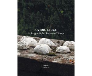 Ovidiu Leuce. In bright light, between things. Ediz. italiana e inglese - AA.VV.