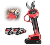OVLIIYWZY Cesoie Elettriche da Potatura da 40 mm/1,6 Pollici, Potatore Elettrico per Cespugli Esterni Alberi da Frutto da Giardino, Batteria Ricaricabile per Potatore Ra