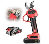 OVLIIYWZY Cesoie Elettriche da Potatura da 40 mm/1,6 Pollici, Potatore Elettrico per Cespugli Esterni Alberi da Frutto da Giardino, Batteria Ricaricabile per Potatore RAM