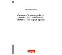 Ovunque c'è un campanile. La presenza dei Carabinieri sul territorio, i loro reparti speciali