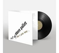 Owen Pallett Has a Good Home (Vinyl LP) 12" Remastered Album