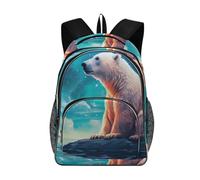 OWFKAY Zaino per bambini con orso polare e luci polari a tre strati ad arco per la scuola e il computer portatile, Multicolore, Taglia unica