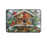 OWFKAY Zerbino di benvenuto con uccellino cardinale, per soggiorno, cucina, pavimento, decorazione per interni ed esterni, 60 x 40 cm