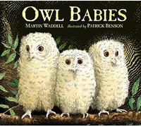 Owl Babies: Over two million copies sold - a heartwarming bedtime picture book story that comforts and reassures - also the perfect gift for birthdays, new parents and baby showers