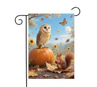 Owl Bird On Pumpkin Cute Squirrel With Nut Sunflower Field Bandiere Resistente Alle Intemperie Bandiera Robuste Bandiera Da Giardino Per Giardino Festival Balcone 30X45Cm