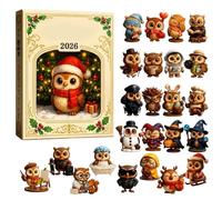 Owl Christmas Advent Calendars 2026, 2D Flat Acrylic Cute Bird Ornaments