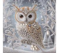 Owl Diamond Art Kits with Pearls for Adults,5D Special Shaped DIY Partial Drill Diamonds Dots Gem Art Kits for Adults Gift Home Wall Decor Diamond Dots Paintings 30x30cm