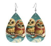 Owl On Sled Orecchini Da Donna Moda Orecchini Stampato Pendenti Per Feste Tutti I Giorni Donne